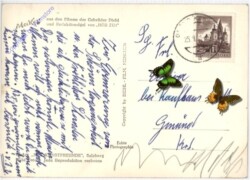 ak195233a Mecki: Am Weg zu Dir