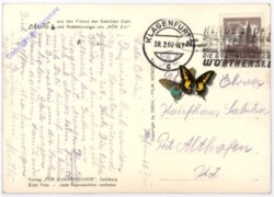 Mecki: Maikäfer flieg