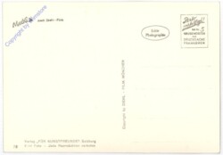Mecki 0078: Jeder hat mal einen Vogel
