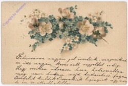 ak195379 Anemonen, Vergiss-mein-nicht