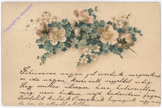 ak195379 Anemonen, Vergiss-mein-nicht