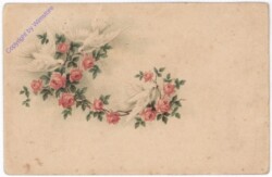 Rosen & Tauben