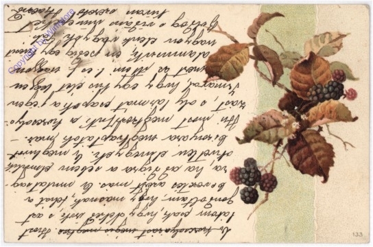 Herbstblätter und Beeren