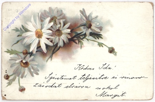Margeriten
