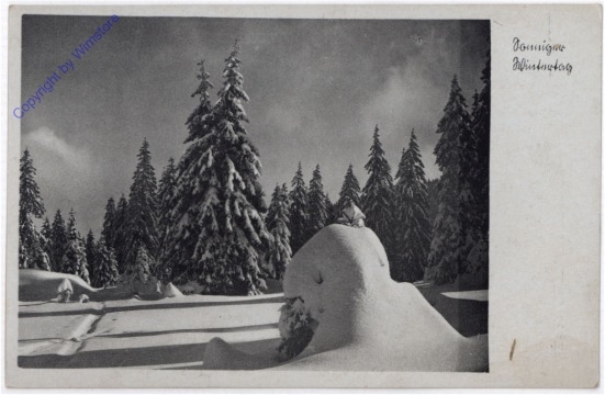 ak195402 Verschneite Landschaft