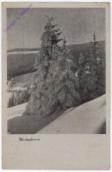 ak195403 Verschneite Landschaft