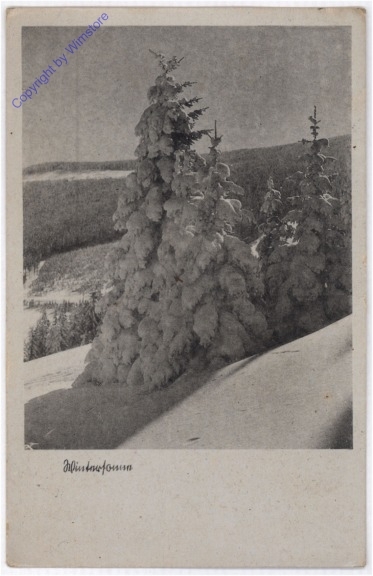 ak195403 Verschneite Landschaft