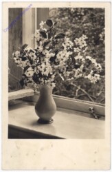 Blumenvase