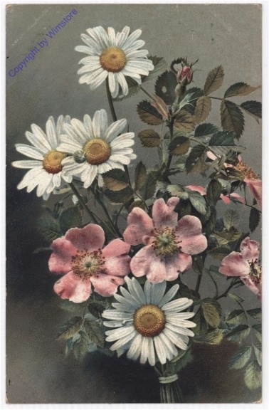 Margeriten und Anemonen