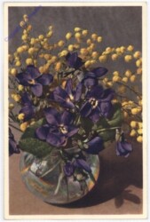 Wohlriechendes Veilchen (Viola odorata)
