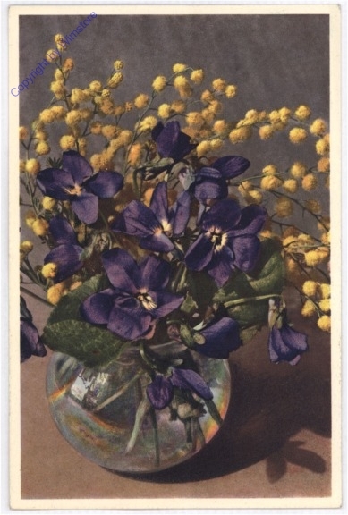 Wohlriechendes Veilchen (Viola odorata)
