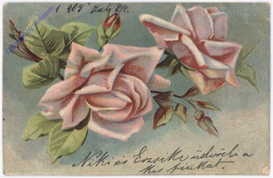 Rosen