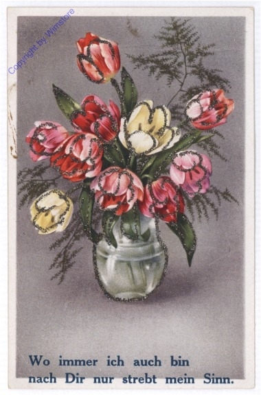Tulpen