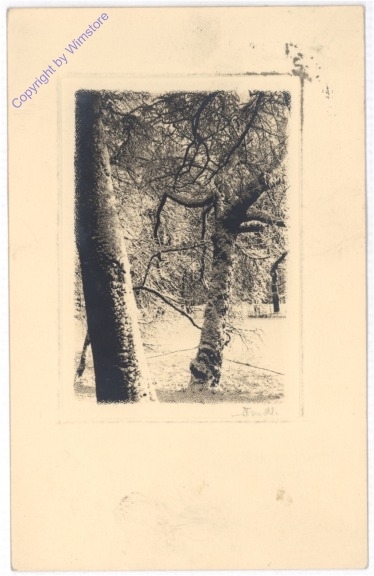 ak195438 Bäume