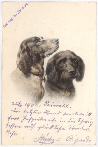 Hunde