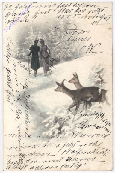 Rehe beobachten Spaziergänger