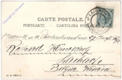 Rehe beobachten Spaziergänger