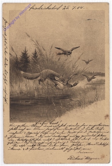 Fuchs fängt eine Ente