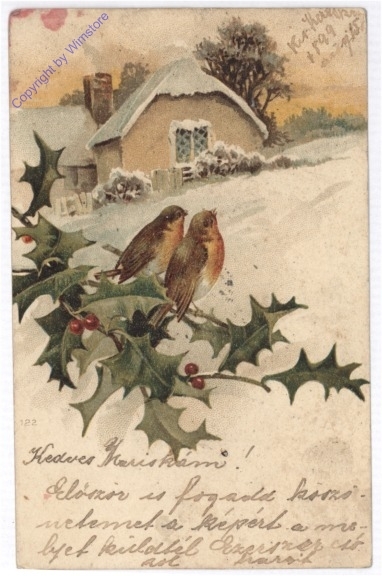 Vögel im Winter