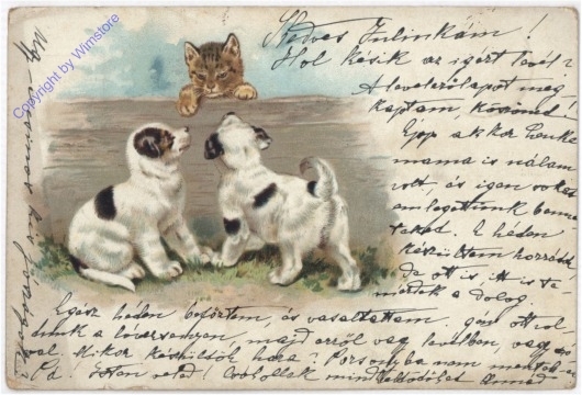 Welpentreffen