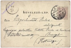 Welpentreffen