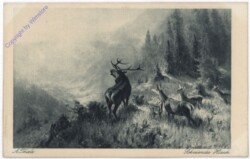 Schreiender Hirsch