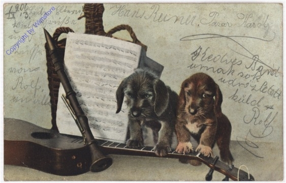 Musikstunde für die Welpen