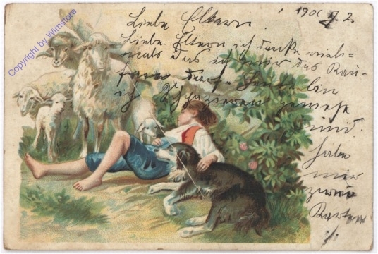 Hund und Hirte schlafen, die Schafe passen auf