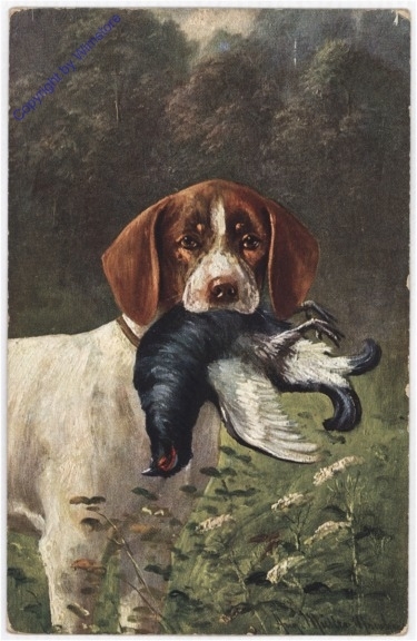 Jagdhund mit Beute