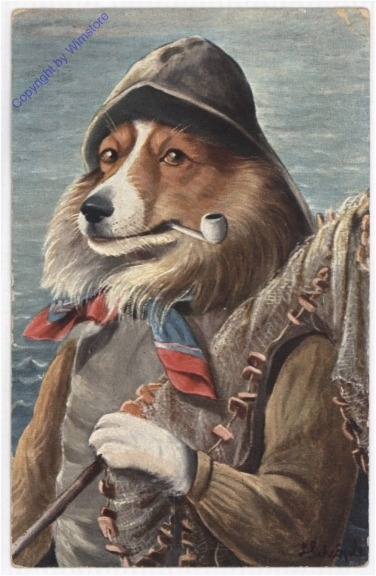 Verkleideter Hund