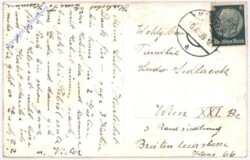 ak195541a Kühe auf der Alm