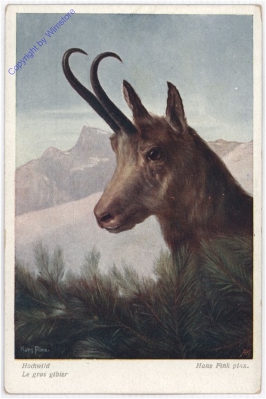 Hochwild