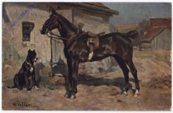 Pferd mit Hund