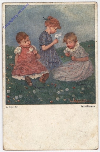 Pusteblumen