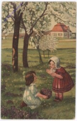 Auf der Blumenwiese
