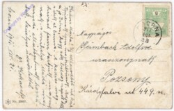 Mutter und Tochter sehen Schmetterling