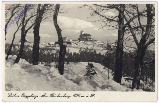 ak196123 Böhm. Erzgebirge, Am Mückenberg