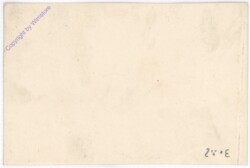 Brousek-Höhle, Tropfstein Hain