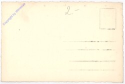 Schloss Tetschen an der Elbe