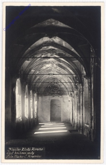 ak196235 Klaster Zlata Koruna