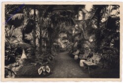 ak196288 Eisgrub, Palmenhaus