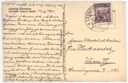 ak196288a Eisgrub, Palmenhaus