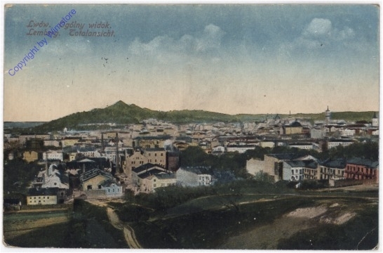 ak196291 Lemberg, Totalansicht