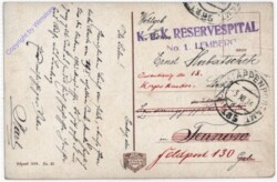 Lemberg, Totalansicht