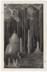 Masarykuv dom, jemne stechylky