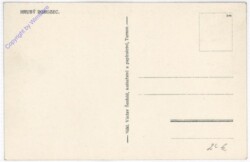 ak196396a Hruby Rhohozek