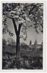 ak196506 Praha (Prag), Die Burg Hradcany
