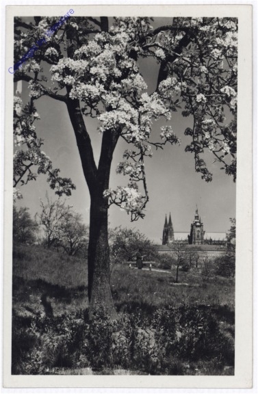 ak196506 Praha (Prag), Die Burg Hradcany