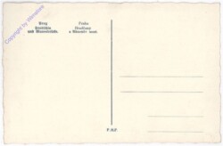 Praha (Prag), Hradschin und Manesbrücke