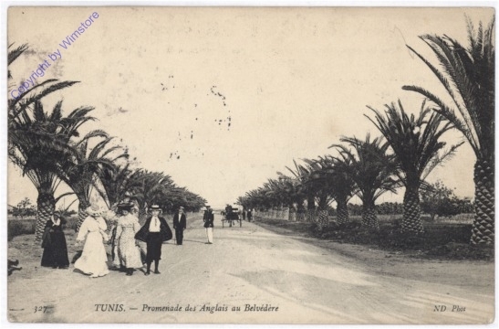 ak196634 Tunis, Promenade des Anglais au Belvedere